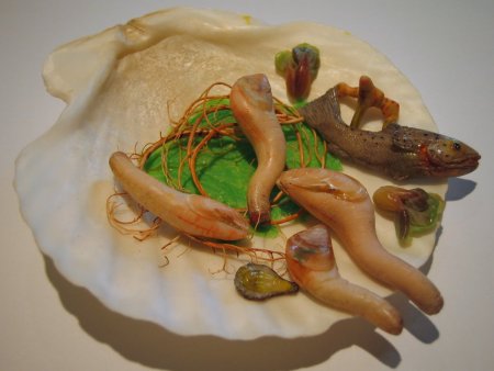 geoduck-in-shel.jpg